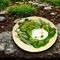Roman 8.5 Inch Frog Garden Stepping Stone Summer Garden Stepping Stone , Indoor Outdoor